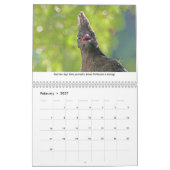 Cours de vie Calendrier animal (Feb 2027)