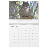 Cours de vie Calendrier animal (Mar 2027)
