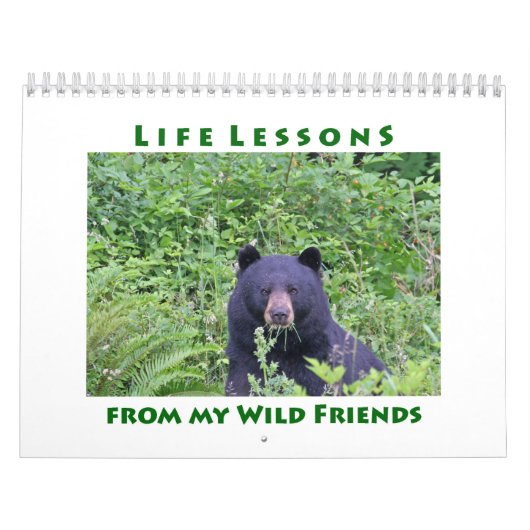 Cours de vie Calendrier animal (Protection)