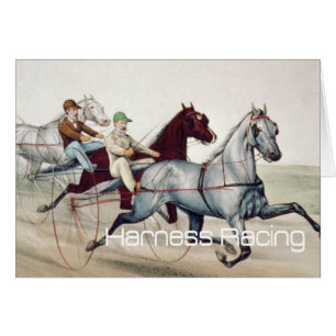 Course d'attelages SUPÉRIEURE