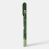 Course de Bulldog français (Côté gauche)