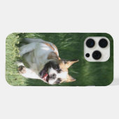 Course de Bulldog français (Verso Horizontal)