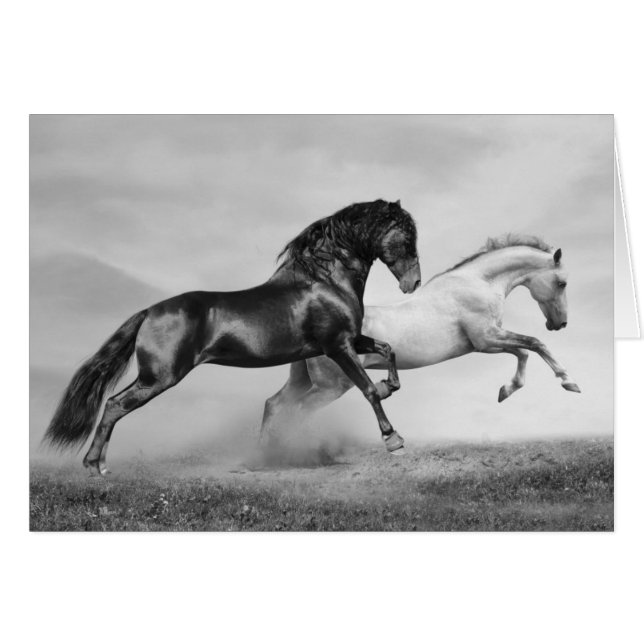 Course de chevaux (Devant horizontal)