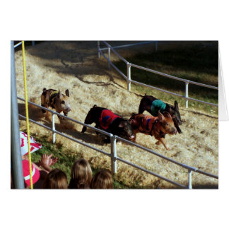 Course de cochon à la Foire du Comté - Carte