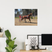 Course de harnais Impression (Bureau à domicile)