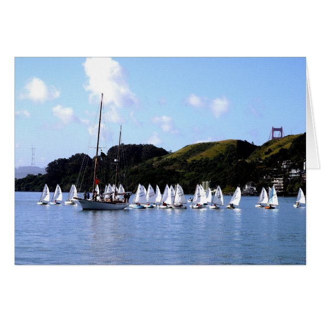 Course El Toro San Francisco Bay (Devant horizontal)