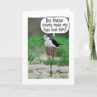 COURSES D'OISEAU FUNNY Carte ou cadeau
