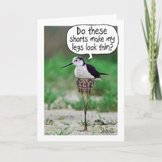 COURSES D'OISEAU FUNNY Carte ou cadeau