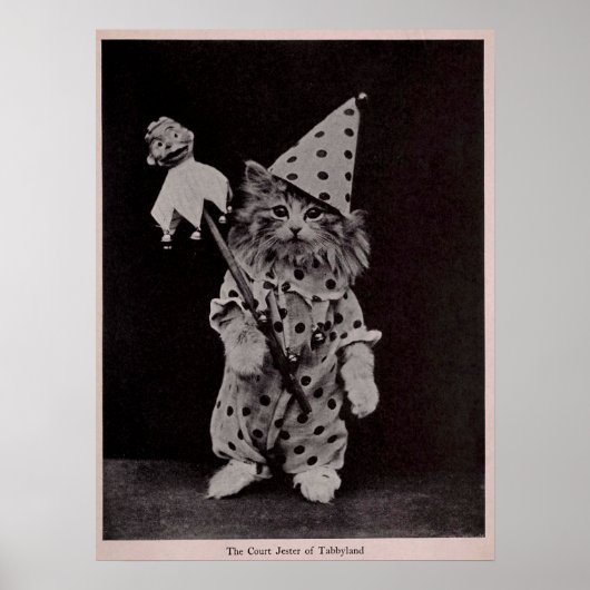 Court Jester van Tabblyland Kat  Foto Poster (Voorkant)