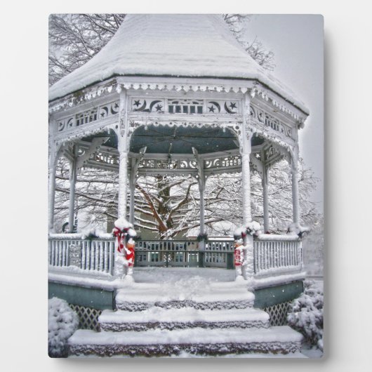Courthouse Gazebo in Snow Fotoplaat (Voorkant)