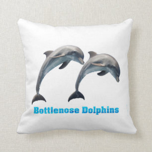 Coussin