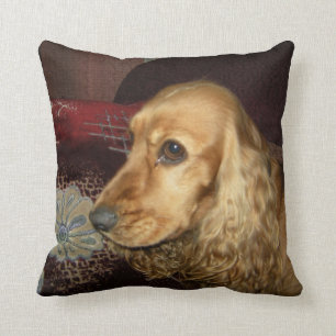 Coussin Сocker