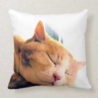 COUSSIN うちのかわいこちゃんのクッション