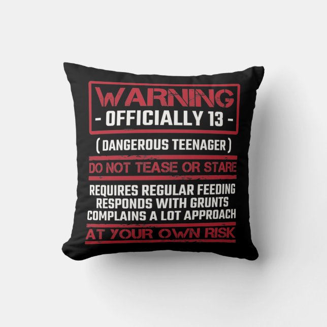 Coussin 13e anniversaire officiellement adolescent 13 ans (Recto)