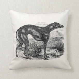 Coussin 1800s vintages de chien de lévrier - chiens de