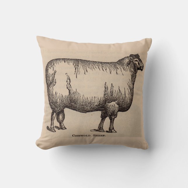 Coussin 19e century print cotswold sheep (Recto)