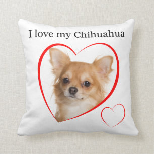 Coussin #1 d'amour de chiwawa