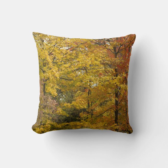 Coussin a (Recto)