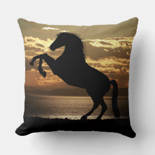 coussin à cheval couché de soleil