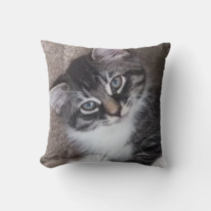 Coussin à deux côtés Adorable Kittens