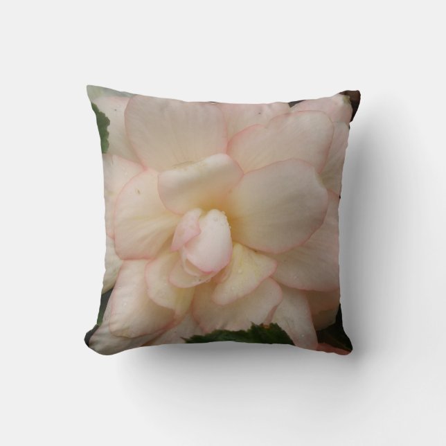 Coussin à fleurs de Begonia blanche (Recto)