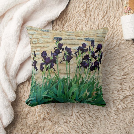 Coussin À Jets De Fer À Porte (Couverture)