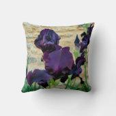 Coussin À Jets De Fer À Porte (Verso)