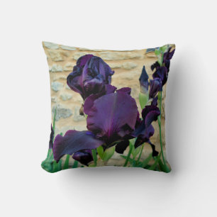 Coussin À Jets De Fer À Porte