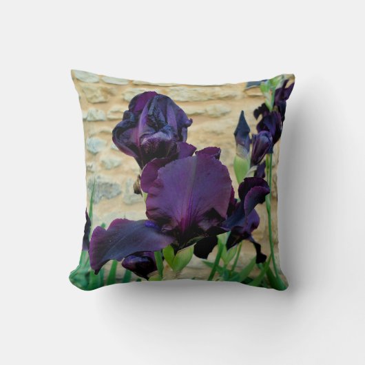 Coussin À Jets De Fer À Porte (Recto)
