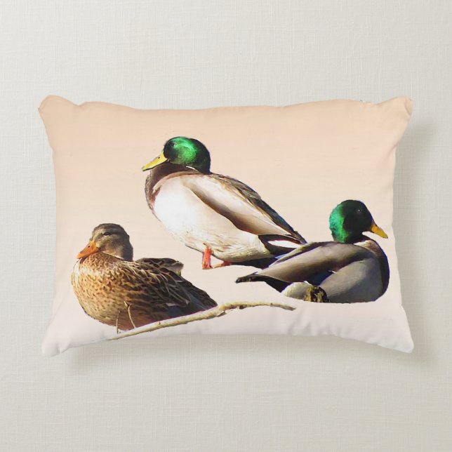 Coussin à l'accent trois canards-allards (Devant)
