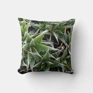 Coussin à lancer d'humeur fraîche