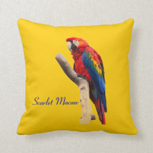 Coussin à lancer d'or de Macaw