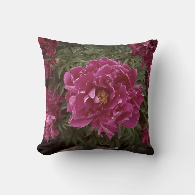 Coussin à lancer photo rose fleur 41 cm x 41 (Recto)