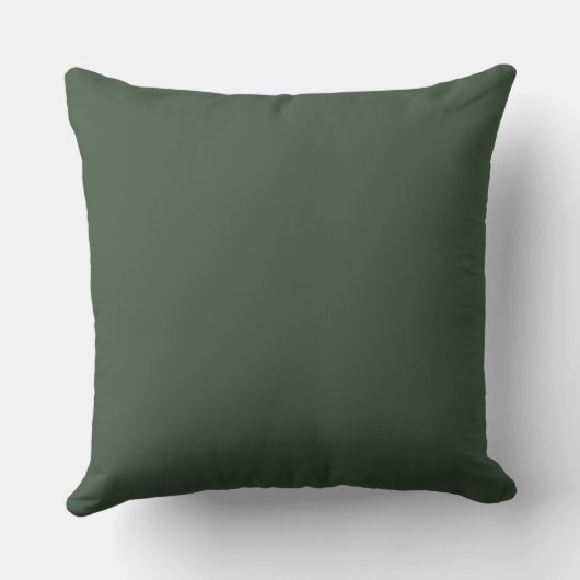 Coussin à rayures vert olive (Verso)