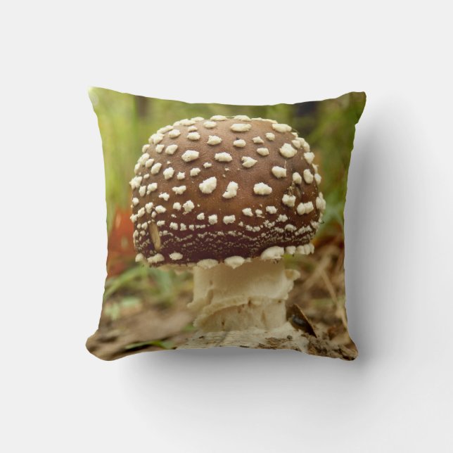 Coussin à Thon Casquette panthère (Recto)