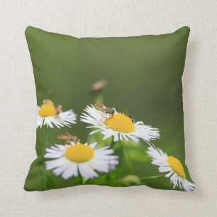 Coussin Abeille sucrée
