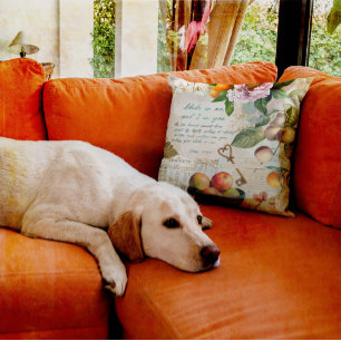 Coussin Abide in Me Fruitative Faith