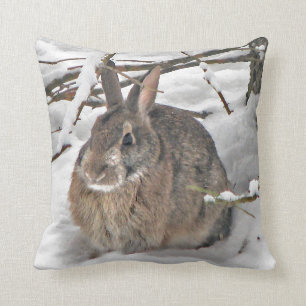Coussin Abri de recherche de lapin