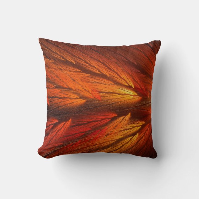 Coussin Abstrait Fractal en plumes orange (Recto)
