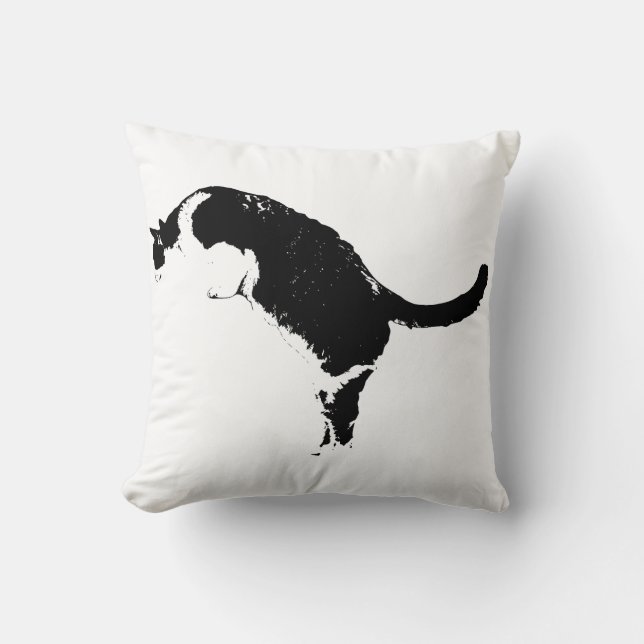 Coussin Accent de chat saisissant (Recto)