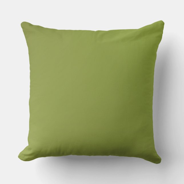 Coussin Accents de décors de maison Chaux (Recto)