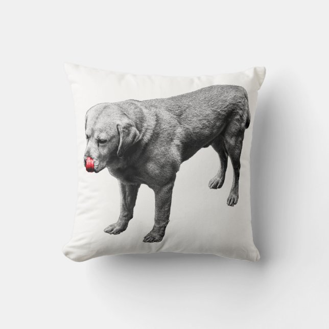 Coussin Accentuation pas chère (Recto)