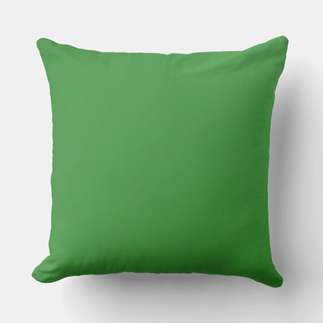 Coussin Accessoires de décoration d'intérieur Verts (Recto)