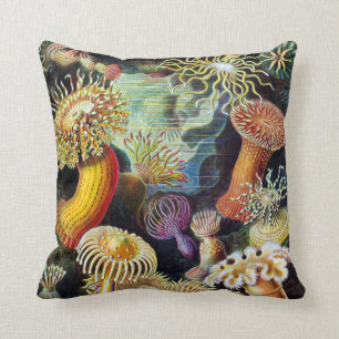 Coussin Actiniae par Ernst Haeckel