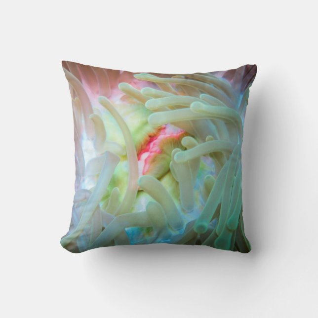 Coussin Actinie multicolore (Recto)