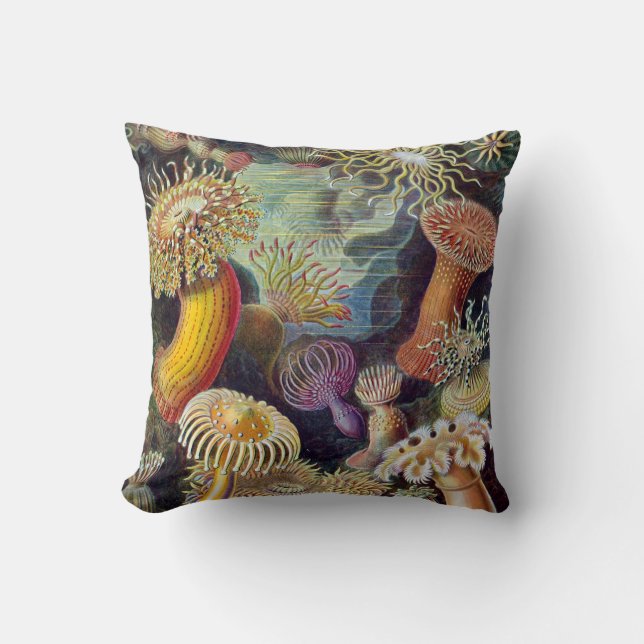Coussin Actinies vintages (Recto)