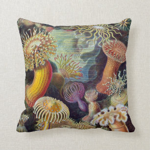 Coussin Actinies vintages