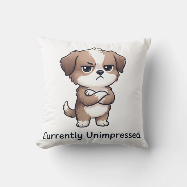 Coussin actuellement peu impressionné (Recto)