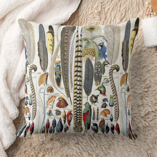Coussin Adolphe Millot Dark Academia Vintage Plume d'Oisea (Couverture)