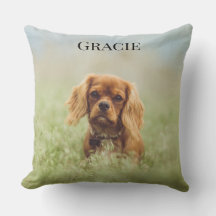 Adorable Cavalier King Charles chiot Throw Pillow